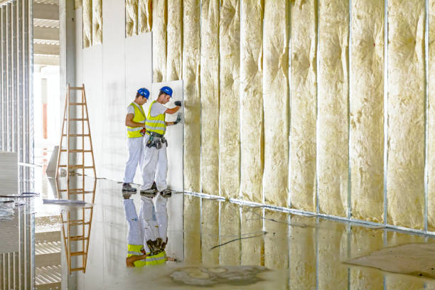 Best Types of Insulation in Helmetta, NJ